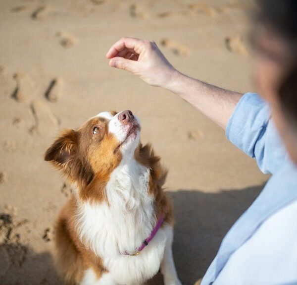 Commercial Signal Intelligence Snapshot for 965118684, 486131335, 964780185, 613723896, 6944896233, 21297980