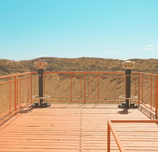 advanced online platform expansion goals