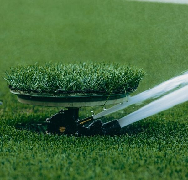 professional web system for efficiency